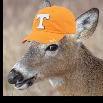 The VolunDeer. Vols Fan account and professional gator hater.