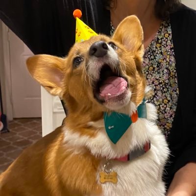 McCIanSmith's profile picture. Vox populi!                                       Hold_DeezNutz with diamond hands. Go XRP!! ———✋🏼💎🤚🏼