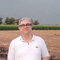 hamid m.molaie (@hamid_molaie) 's Twitter Profile