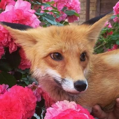 LRubanova47726's profile picture. 