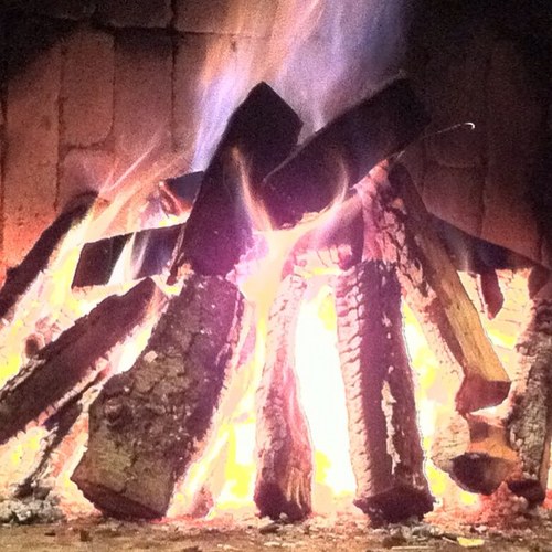 maestro_vit's profile picture. 