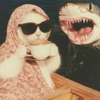 irembolukbas (@irembolukbs) Twitter profile photo