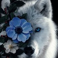 Wolves𝕏FB 🐺FAN Account (@wolvesxfb) 's Twitter Profile Photo Wolves𝕏FB 🐺FAN Account (@wolvesxfb) 's Twitter Profile Photo