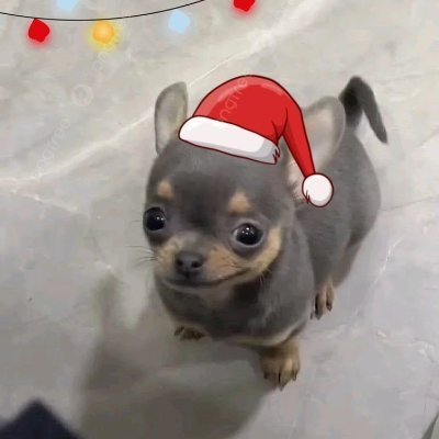 Gal14923Mam's profile picture. 