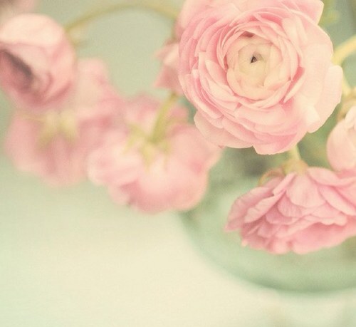 hessaalmejbel's profile picture. كن جزءا من الحاضر .. و سطرا في تاريخ المستقبل..
physics teacher