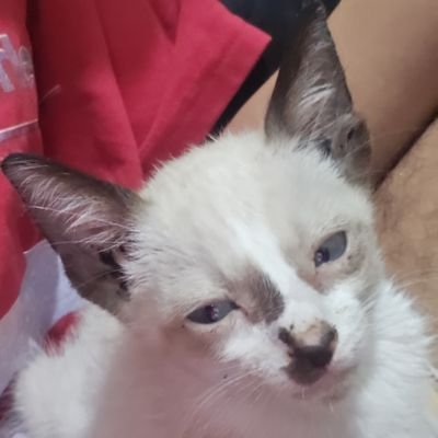 _FbMatos's profile picture. 