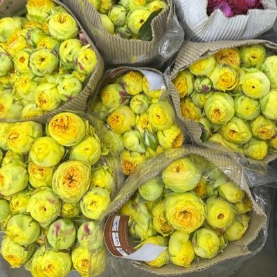 Rahaf00215557's profile picture. ، اللهم أجعلني مباركة أينما كنت 🤍