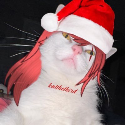 HE/HIM | D2 KAT MAIN | 22 | Mythic WoW raider | PFP by @jumboshwimp | Priv: @KatThePriv |