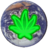 Cannabis World News