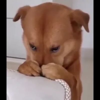 Davi77ttsemlm's profile picture. 