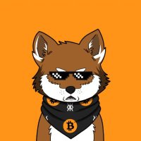 Degen Overlord (@degenoverlord1) 's Twitter Profile Photo Degen Overlord (@degenoverlord1) 's Twitter Profile Photo