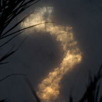 WLR2678🌌 (@wlr_2678) 's Twitter Profile