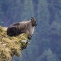 Clarinette Tara🌏🇪🇺 (@clarinette01) 's Twitter Profile