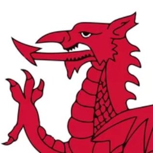 draigcymraeg5's profile picture. Learning on the job