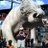 brad koch (@bkoch1991) 's Twitter Profile Photo