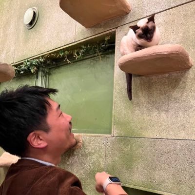 東京(2018〜) P.T.A.(2008〜) ドラクエⅩ(2021〜) FF14(2023〜) 最近またホルンも再開しました! 浅く広くで色々ゆるーくやってます!@CyberIguana