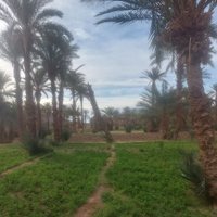 عادِل المَعزُوزِي (@adil_brdich) 's Twitter Profile Photo