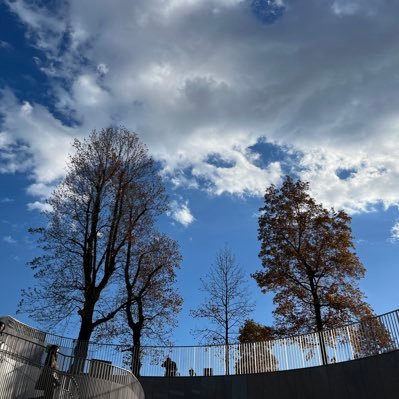 Littlepeop62039's profile picture. 