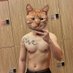 เรื่องของแมว (@osimase) Twitter profile photo เรื่องของแมว (@osimase) Twitter profile photo