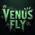Venus Fly (@venusflydubz) Twitter profile photo Venus Fly (@venusflydubz) Twitter profile photo