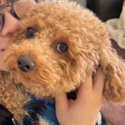 noka_10_17's profile picture. 