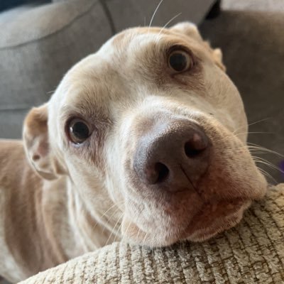 kdose23's profile picture. hawks
