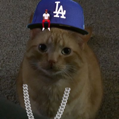 StockCar28's profile picture. Unfazed, Courageous, Man Of God ✝️ Just Trying To Spread The Word, (Kevin Durant I Love You)