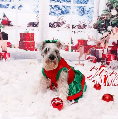 jasierra80's profile picture. 2-11-55