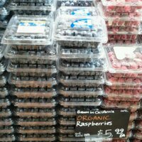 ablexomat (@ablexomat) 's Twitter Profile Photo