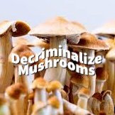 We did it! We decriminalized entheogenic plants and fungi in San Francisco! Now it's time to create safe equitable access.