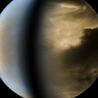 0 (@h201i_) 's Twitter Profile