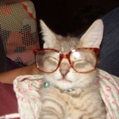 srtabalfour's profile picture. mané |
she/her 24