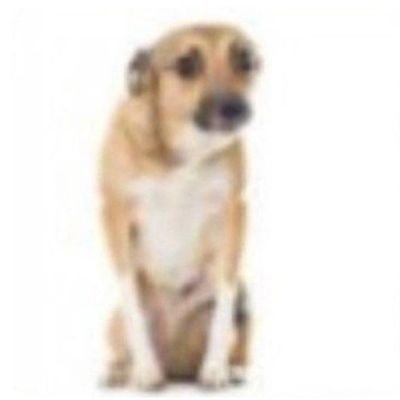 Kkdepollo0z's profile picture. ñe