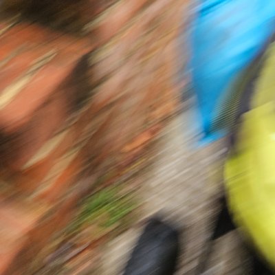 PoliSighPhi's profile picture. 