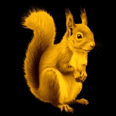 cafedead4851's profile picture. 