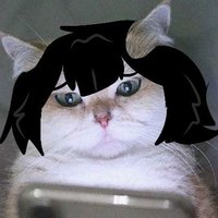VeeKittynya🇩🇴 (@kittyveekee) 's Twitter Profile