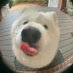 ha ha (@jmz1316) Twitter profile photo ha ha (@jmz1316) Twitter profile photo
