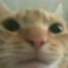Bicdgq's profile picture. hi