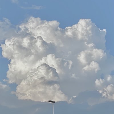 w_wxiaoxiong's profile picture. 