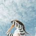Soreshou (@soreshouyuib1) Twitter profile photo Soreshou (@soreshouyuib1) Twitter profile photo