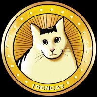 BENCAT (@bencatcoin) 's Twitter Profile Photo BENCAT (@bencatcoin) 's Twitter Profile Photo