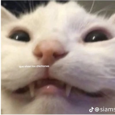 YNagguet's profile picture. 