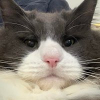 樹(筑星 (@treeboxmax) 's Twitter Profile