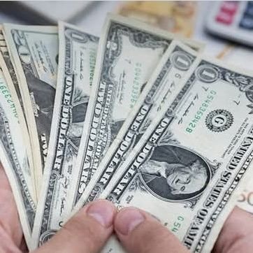 anita69bambang's profile picture. https://t.co/cZx5XsqbEF