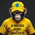 Bostileiro Chimpanzil (@fernandesn19438) Twitter profile photo Bostileiro Chimpanzil (@fernandesn19438) Twitter profile photo