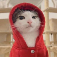 =^เป็นแมว MONSTIEZ ฮะ^= (@graphic_pc) 's Twitter Profile