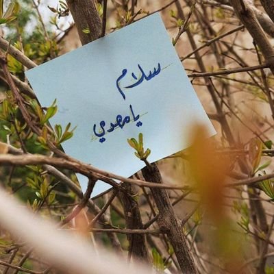 اَلسَّلاَمُ عَلَيْكَ يَا بَقِيَّهَ اللَّهِ فِي أَرْضِهِ