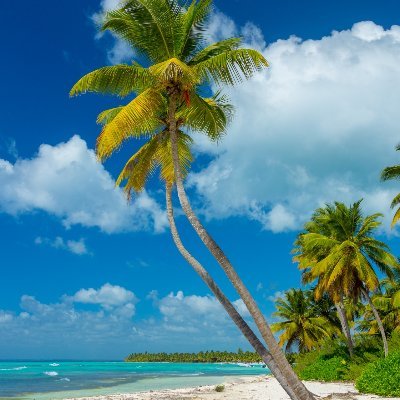 Kelben3's profile picture. Sevillano.Cocinillas,PC master race gamer,junto alguna cosilla mas.Fui otaku una vez,de Rumiko&Evan. Quadralingual.Follow me,I follow you,If I respect you.