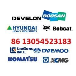 WendyDoosan's profile picture. Doosan Develon Hyundai full series models genuine parts
whatsapp:+86 13054523183
wechat:+86 13054523183
email:wendydoosanhyundai@gmail.com