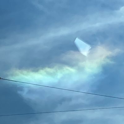 2024年1月からミニ四駆始めたひとです！